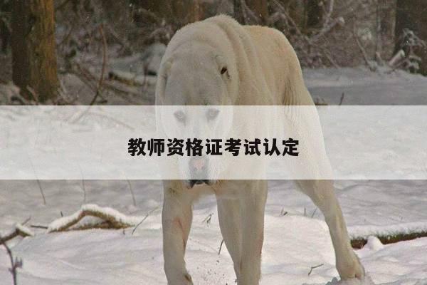 教师资格证考试认定