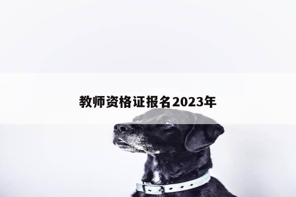 教师资格证报名2023年