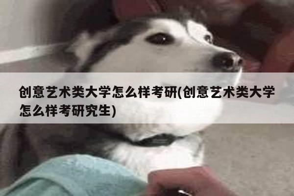 创意艺术类大学怎么样考研(创意艺术类大学怎么样考研究生)