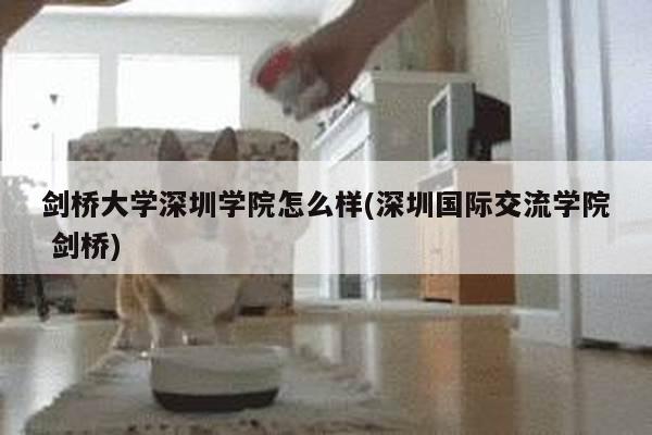 剑桥大学深圳学院怎么样(深圳国际交流学院 剑桥)