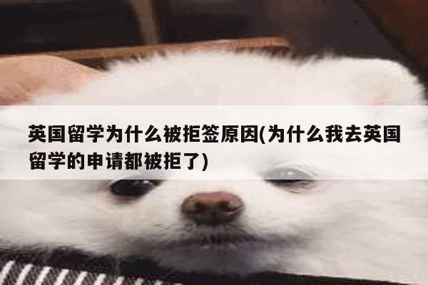 英国留学为什么被拒签原因(为什么我去英国留学的申请都被拒了)