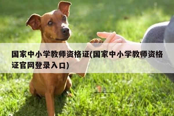 国家中小学教师资格证(国家中小学教师资格证官网登录入口)