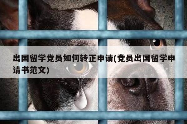 出国留学党员如何转正申请(党员出国留学申请书范文)