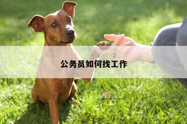 公务员如何找工作