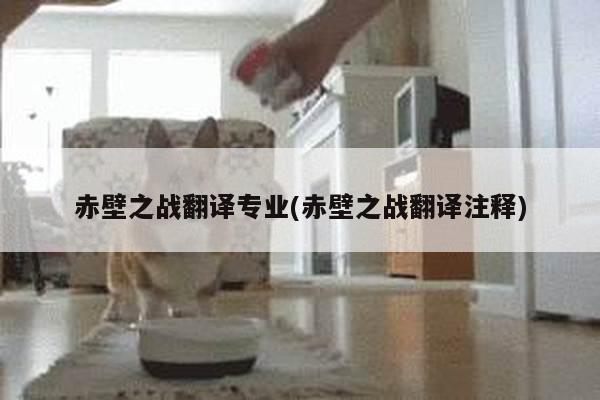 赤壁之战翻译专业(赤壁之战翻译注释)