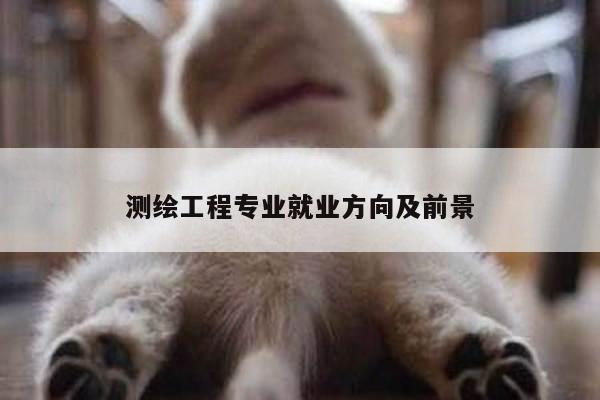 测绘工程专业就业方向及前景