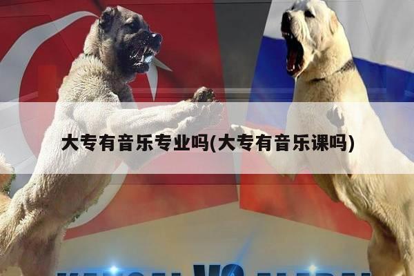 大专有音乐专业吗(大专有音乐课吗)