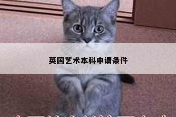 英国艺术本科申请条件