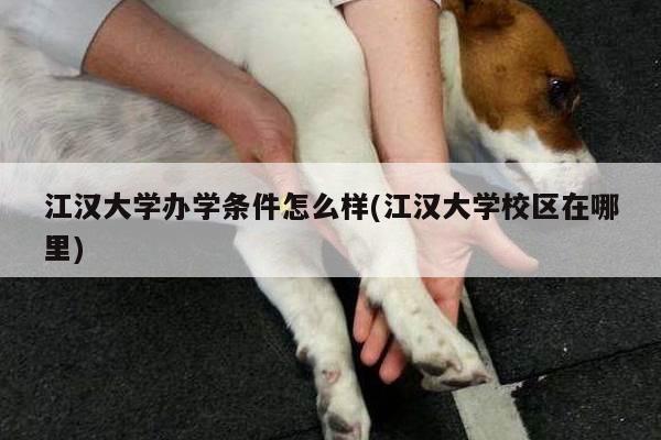 江汉大学办学条件怎么样(江汉大学校区在哪里)