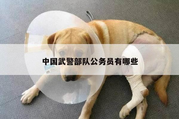 中国武警部队公务员有哪些