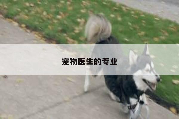 宠物医生的专业