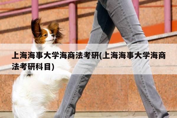 上海海事大学海商法考研(上海海事大学海商法考研科目)