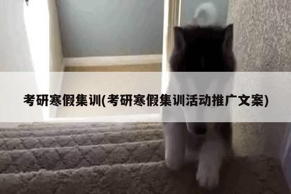 考研寒假集训(考研寒假集训活动推广文案)