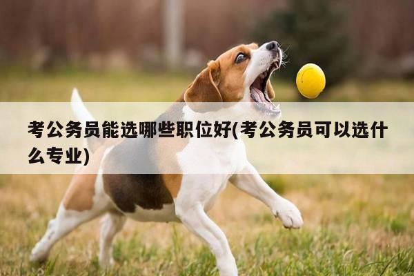 考公务员能选哪些职位好(考公务员可以选什么专业)