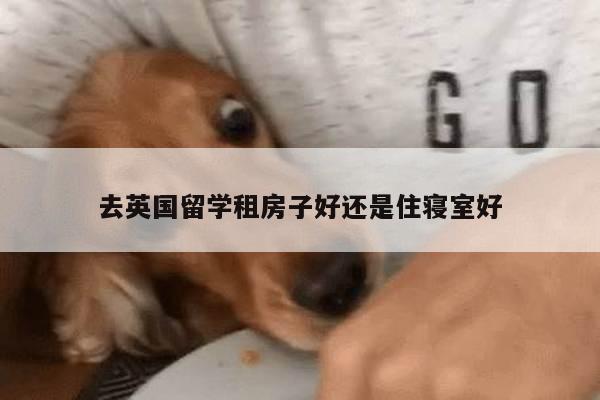 去英国留学租房子好还是住寝室好