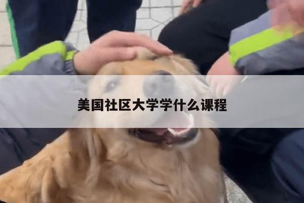 美国社区大学学什么课程