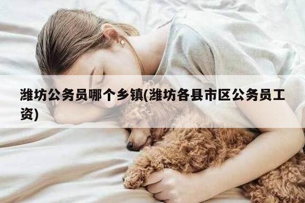 潍坊公务员哪个乡镇(潍坊各县市区公务员工资)