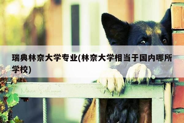 瑞典林奈大学专业(林奈大学相当于国内哪所学校)