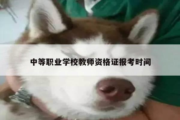 中等职业学校教师资格证报考时间