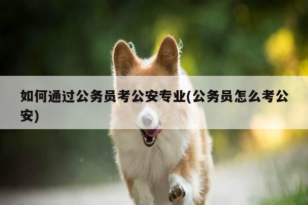 如何通过公务员考公安专业(公务员怎么考公安)