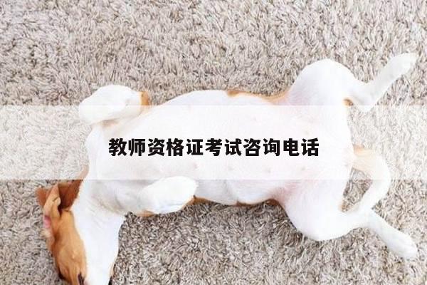 教师资格证考试咨询电话