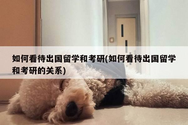 如何看待出国留学和考研(如何看待出国留学和考研的关系)