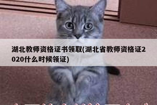 湖北教师资格证书领取(湖北省教师资格证2020什么时候领证)