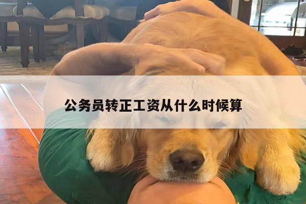公务员转正工资从什么时候算