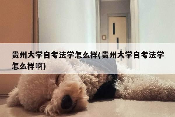 贵州大学自考法学怎么样(贵州大学自考法学怎么样啊)