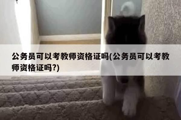 公务员可以考教师资格证吗(公务员可以考教师资格证吗?)