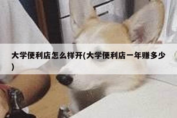大学便利店怎么样开(大学便利店一年赚多少)