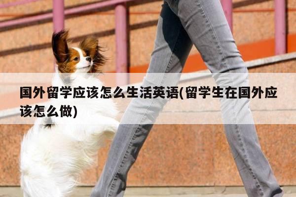 国外留学应该怎么生活英语(留学生在国外应该怎么做)
