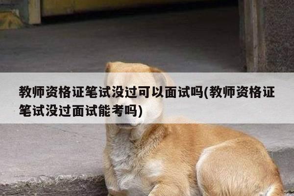 教师资格证笔试没过可以面试吗(教师资格证笔试没过面试能考吗)
