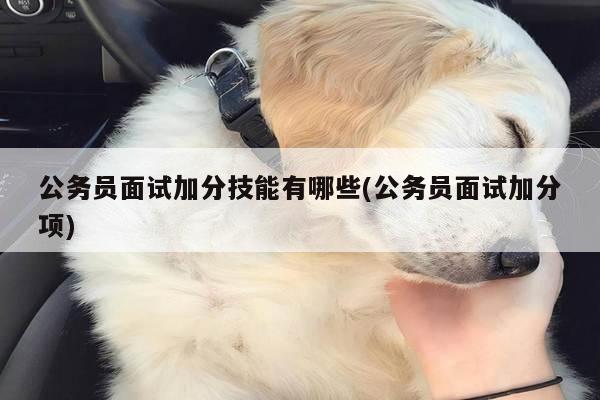 公务员面试加分技能有哪些(公务员面试加分项)