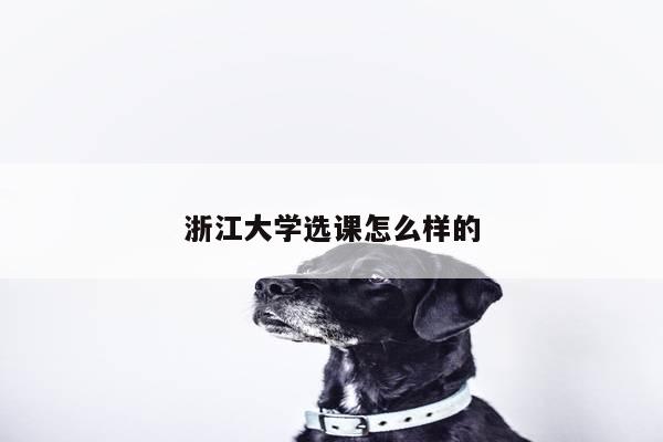 浙江大学选课怎么样的