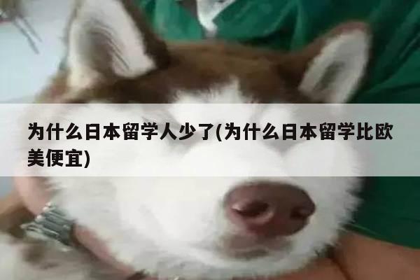 为什么日本留学人少了(为什么日本留学比欧美便宜)