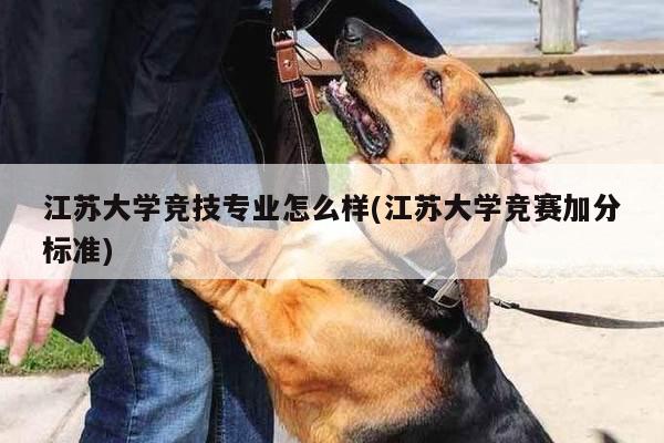 江苏大学竞技专业怎么样(江苏大学竞赛加分标准)
