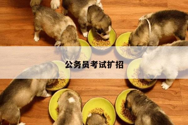 公务员考试扩招