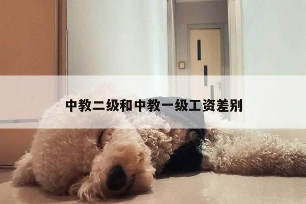 中教二级和中教一级工资差别