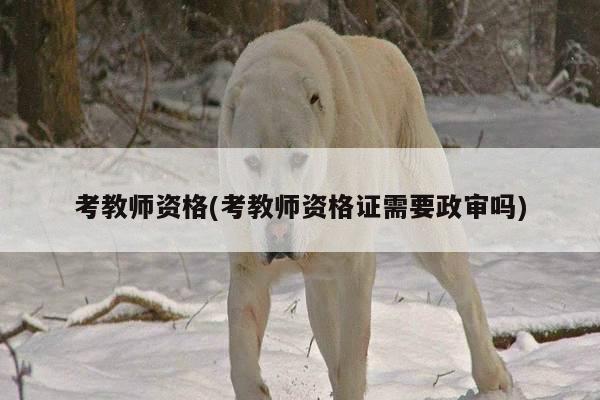 考教师资格(考教师资格证需要政审吗)