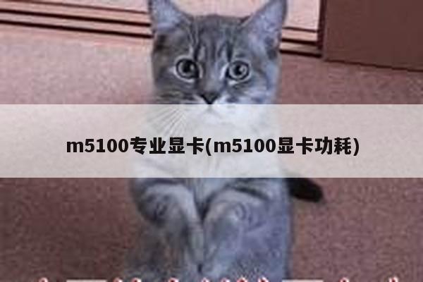 m5100专业显卡(m5100显卡功耗)
