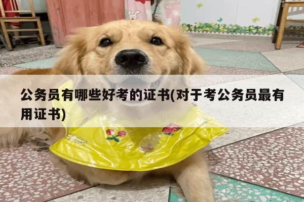 公务员有哪些好考的证书(对于考公务员最有用证书)