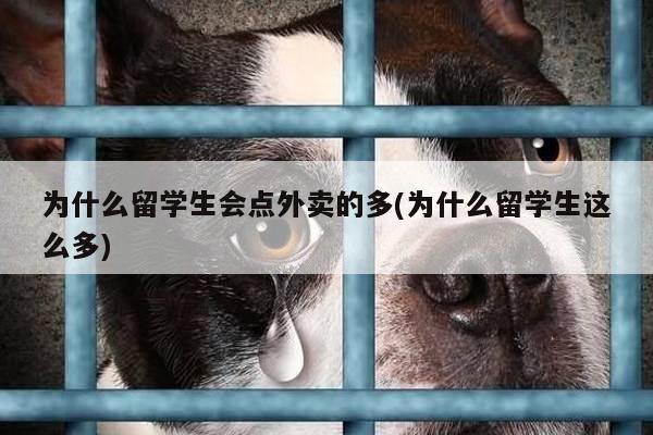 为什么留学生会点外卖的多(为什么留学生这么多)