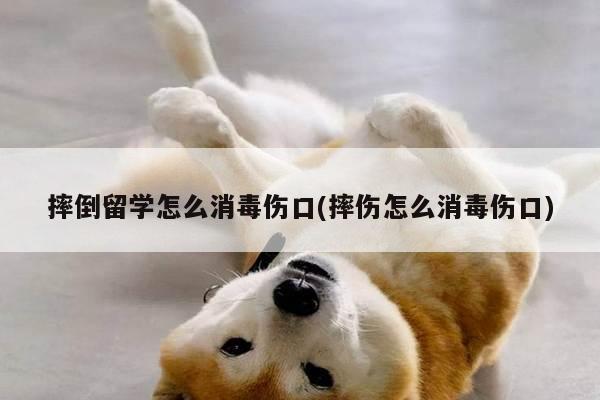 摔倒留学怎么消毒伤口(摔伤怎么消毒伤口)