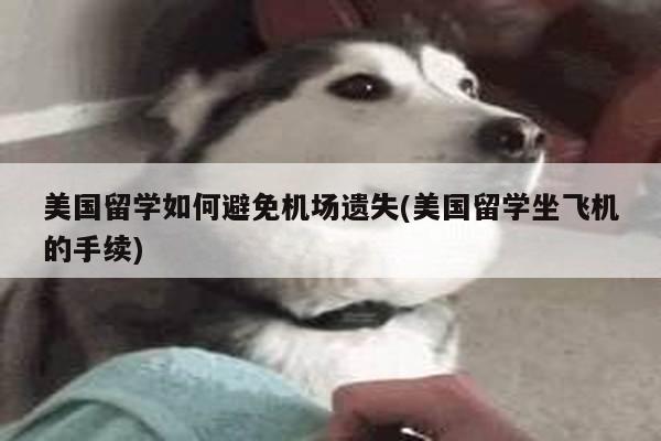 美国留学如何避免机场遗失(美国留学坐飞机的手续)