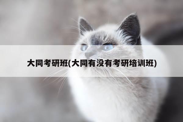 大同考研班(大同有没有考研培训班)