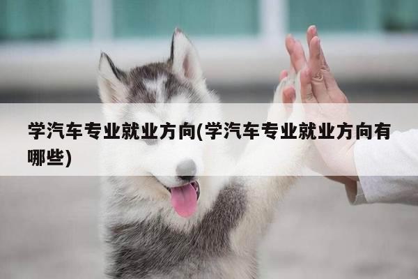 学汽车专业就业方向(学汽车专业就业方向有哪些)
