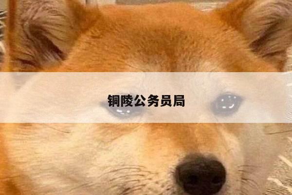 铜陵公务员局