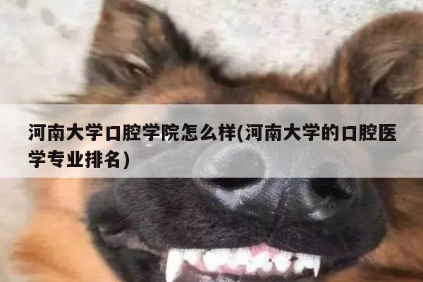 河南大学口腔学院怎么样(河南大学的口腔医学专业排名)