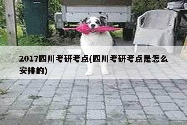 2017四川考研考点(四川考研考点是怎么安排的)